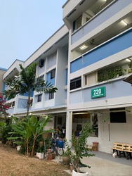 Blk 220 Tampines Street 24 (Tampines), HDB 3 Rooms #209841081